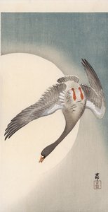Ganso de frente blanca volando visto desde abajo frente a la luna de Ohara Koson