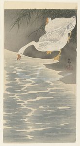 Gansos en la orilla de Ohara Koson