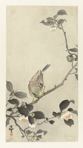 Bunting en rama de flor de Ohara Koson