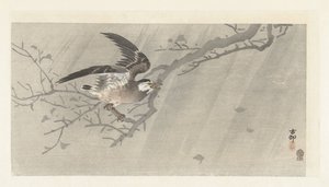 Estornino gris en tormenta de Ohara Koson