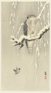 Halcón con gorrión cautivo. de Ohara Koson
