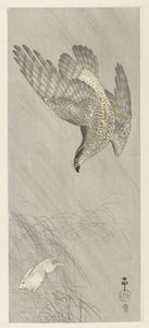 Azor cazando liebre de Ohara Koson