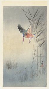 Martín pescador cazando peces de Ohara Koson