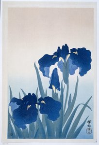 Iris, 1925-36