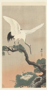 Grúa japonesa en rama de pino de Ohara Koson