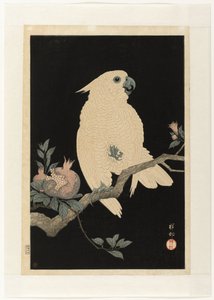 cacatúa con granada de Ohara Koson