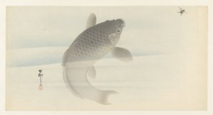 carpa y mosca