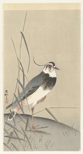 Avefría y caña de Ohara Koson