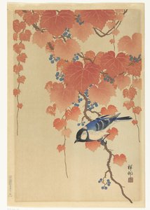 Carbonero común en la rama de paulownia de Ohara Koson