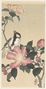 Gran herrerillo en rama con flores rosas de Ohara Koson