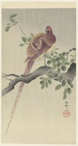 cobrefazante de Ohara Koson