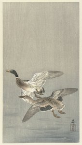 pareja de patos de Ohara Koson