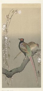 Par de faisanes y flor de cerezo de Ohara Koson