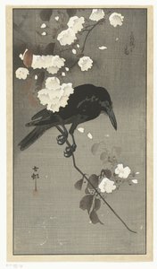 Cuervo con flor de cerezo Hana sakura no tori (título sobre objeto) de Ohara Koson