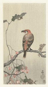 Piquituerto en rama de árbol de Ohara Koson