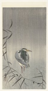 graznido bajo la lluvia de Ohara Koson