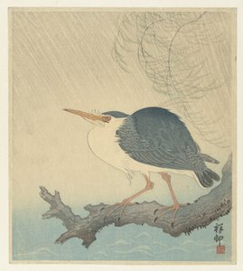 Quack en un tocón de árbol