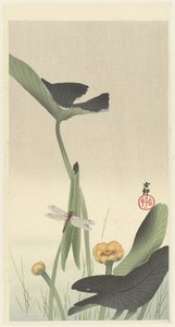 difamación de loto de Ohara Koson