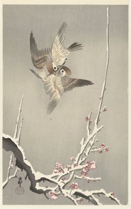 Gorriones y ciruelo nevado de Ohara Koson