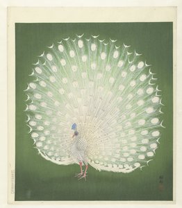 Pavo real de Ohara Koson