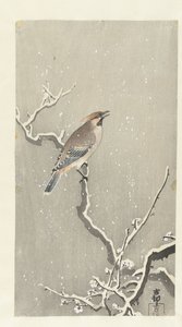 Waxwing en rama nevada de Ohara Koson