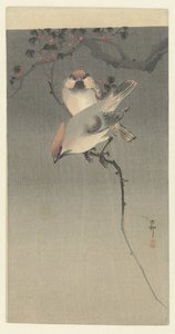 Waxwings de Ohara Koson