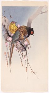 Faisanes y cerezos colgantes (xilografía en color) de Ohara Koson