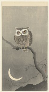 Lechuza común en la rama de un árbol desnudo de Ohara Koson
