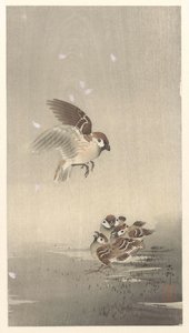 Gorrión anular con niño de Ohara Koson