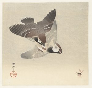 Gorriones anulares e insectos de Ohara Koson