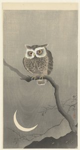 Autillo en una rama con luna creciente de Ohara Koson