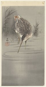 cortar en agua de Ohara Koson