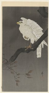 Águila nival en una rama de Ohara Koson
