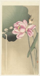 Pájaro cantor y Lotus de Ohara Koson