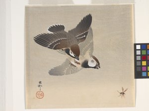 Gorriones persiguiendo insectos voladores (xilografía en color) de Ohara Koson