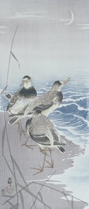 Tres correlimos en la orilla frente a los juncos de Ohara Koson