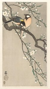 tetas en rama de cerezo de Ohara Koson