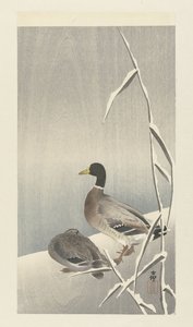 Dos patos en juncos nevados de Ohara Koson