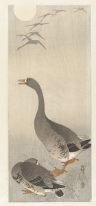 dos enteros de Ohara Koson