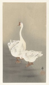 dos enteros de Ohara Koson