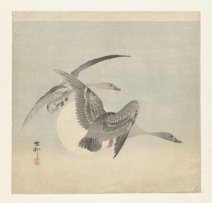 Dos gansos de frente blanca en vuelo de Ohara Koson