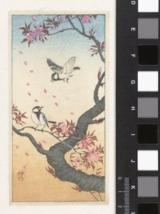 Dos herrerillos cerca de un árbol en flor de Ohara Koson