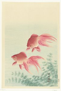 Dos peces dorados de cola de velo de Ohara Koson