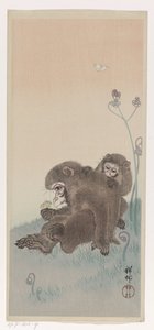 Dos monos con una mariposa, c.1900-45 (xilografía en color) de Ohara Koson