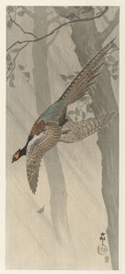 faisán volador de Ohara Koson