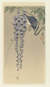 Papamoscas en glicinas de Ohara Koson