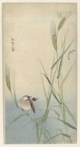 pájaro y mariposa de Ohara Koson