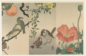 pájaros y plantas de Ohara Koson