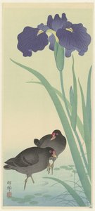Pollas de agua e iris. de Ohara Koson