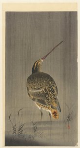 disparar bajo la lluvia de Ohara Koson